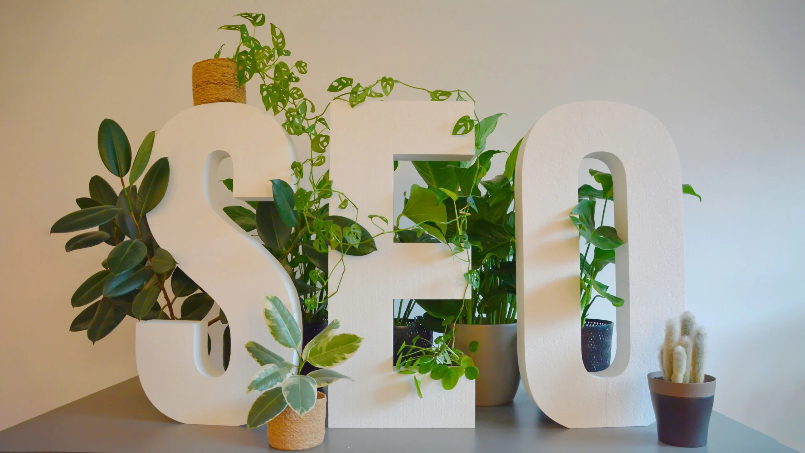 a-white-sign-with-plants-and-a-potted-plant-next-to-it-scaled